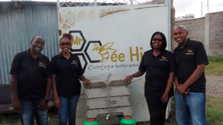 Couples’ innovation makes beekeeping returns sweeter