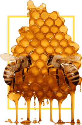 beehive installation