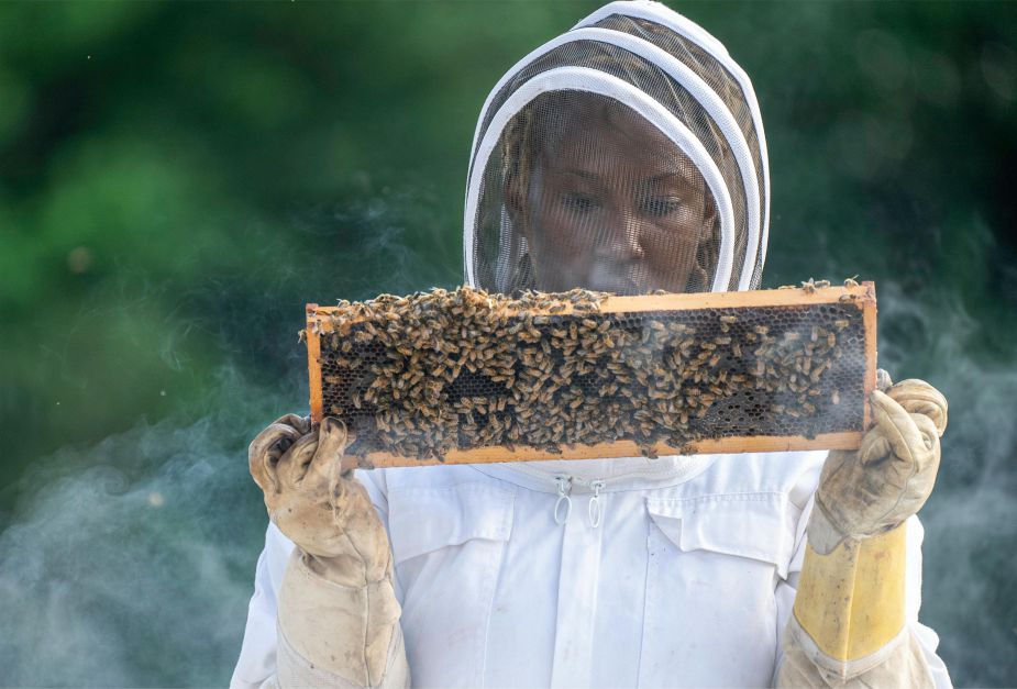 profitable-sustainable-investment