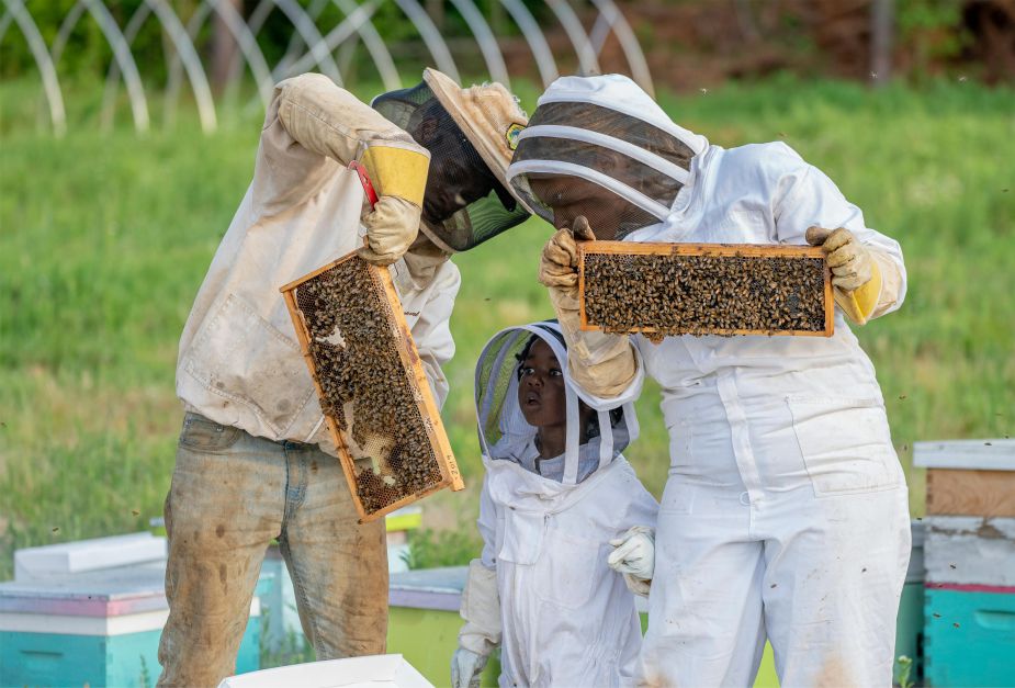 training and farm co-management