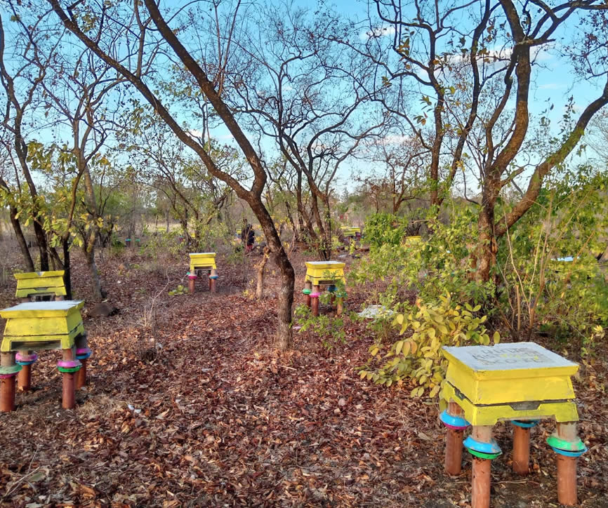 profitable partnership