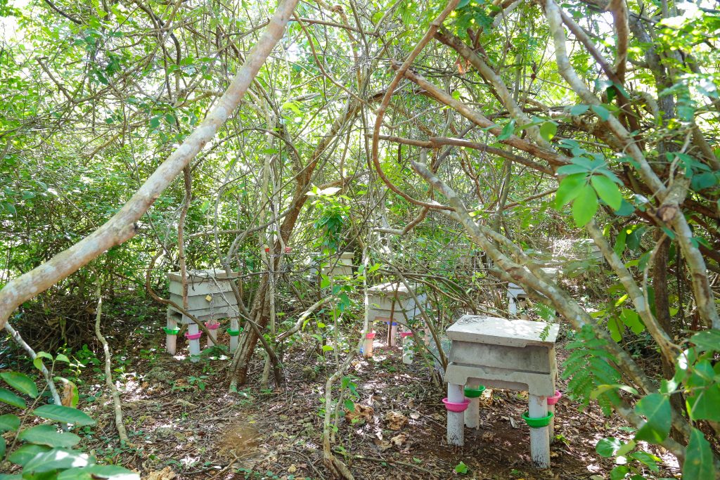 Mister Bee's Concrete Hives