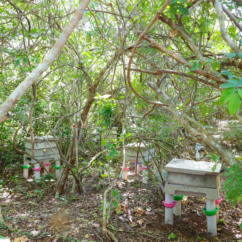 Mister Bee's Concrete Hives