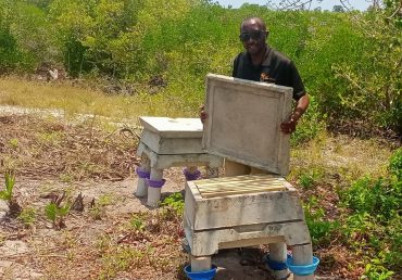 From Installation to Income: What Happens When You Invest in Concrete Hives