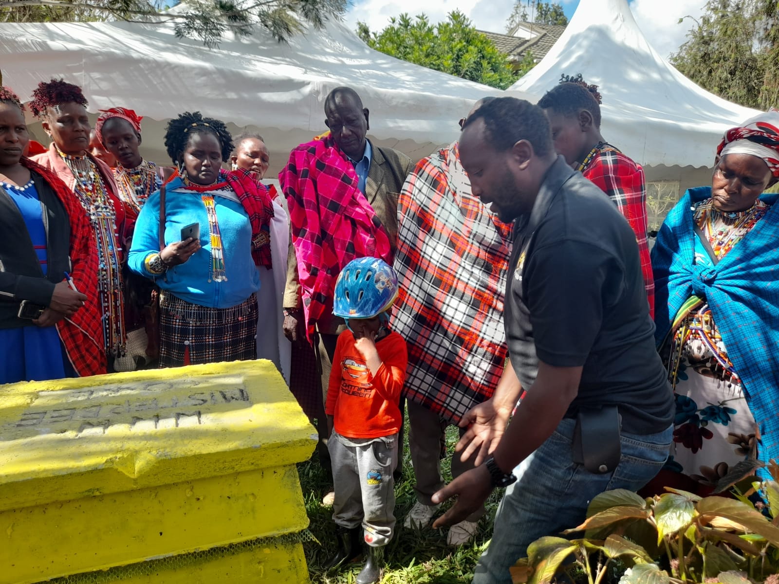 Mister Bee Investor Training