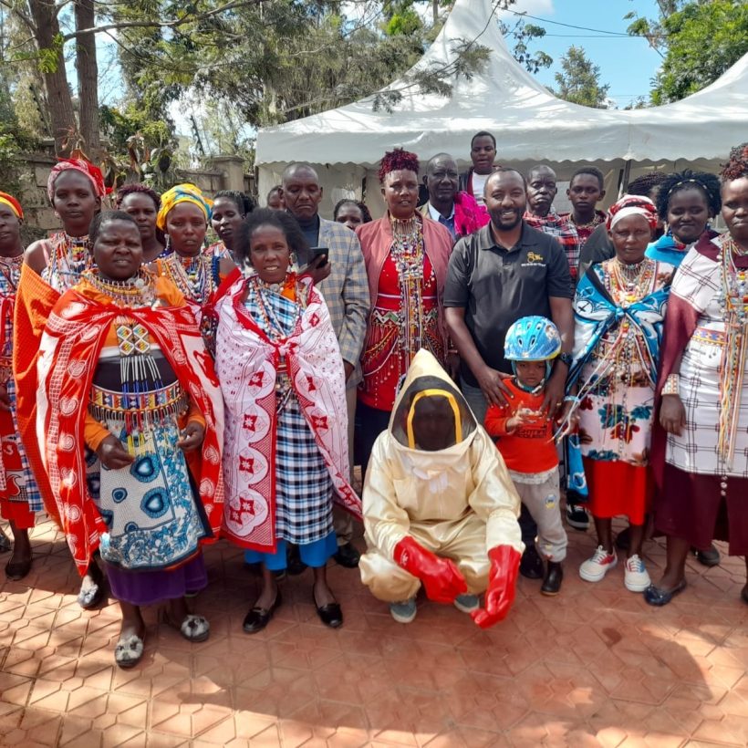 Mister Bee Investor Training