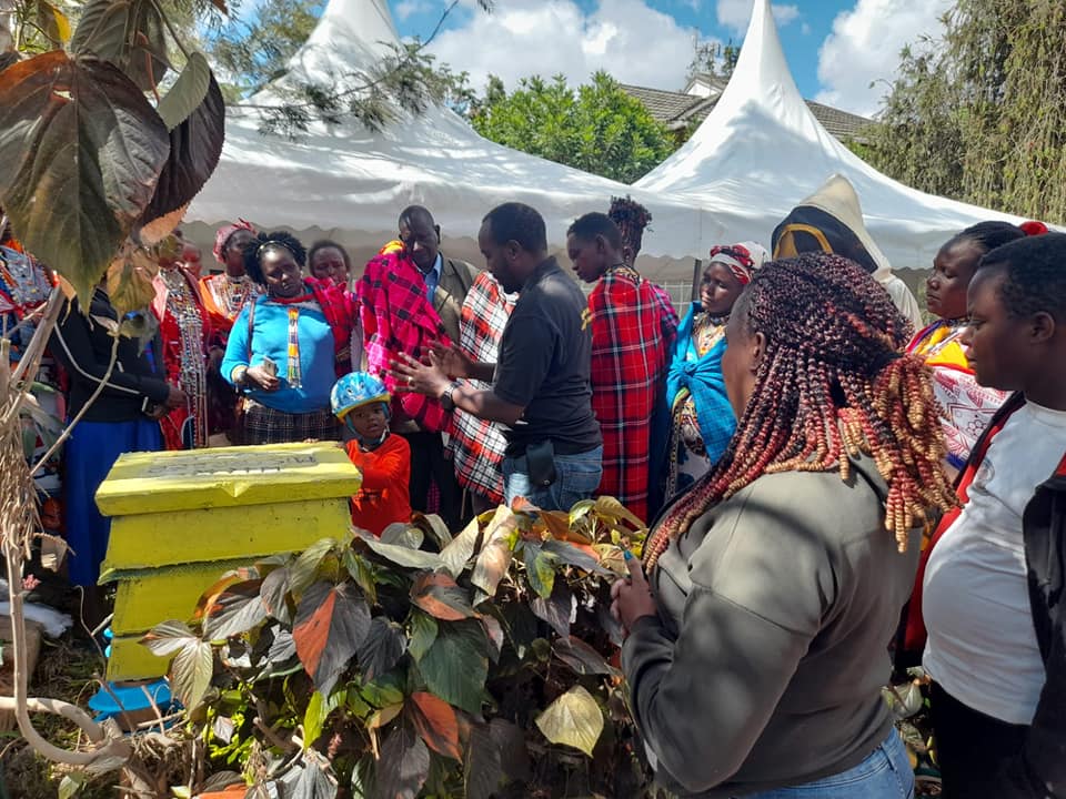 beekeeping investment