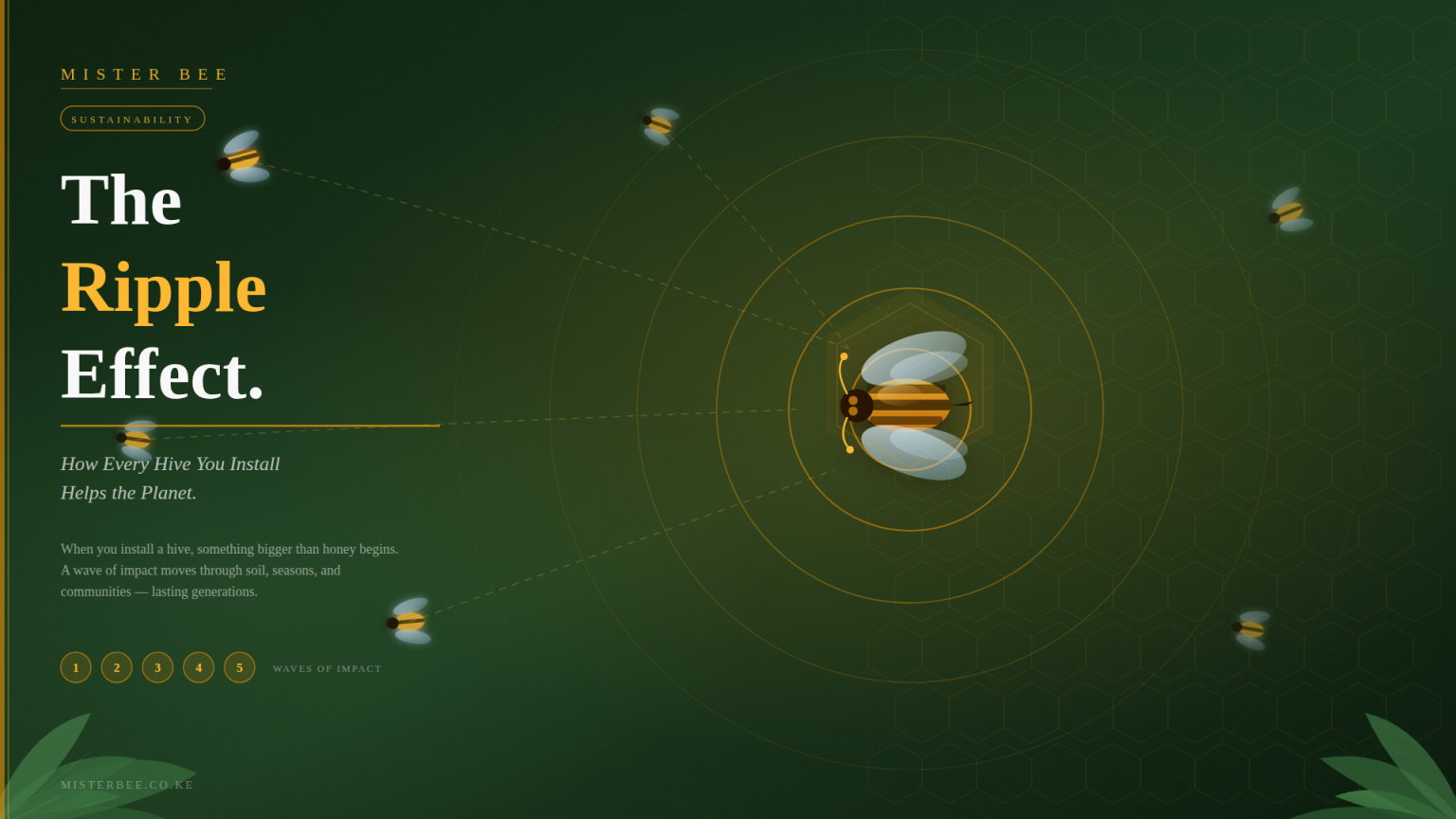 The Ripple Effect: How Every Hive You Install Helps the Planet - Mister Bee