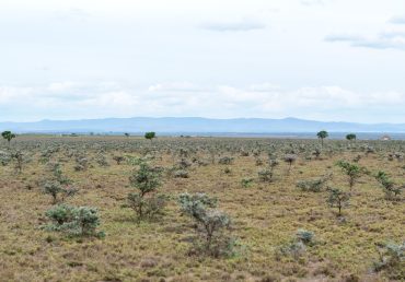 Idle Land to Income: How Beekeeping Turns Unused Land Into Passive Revenue